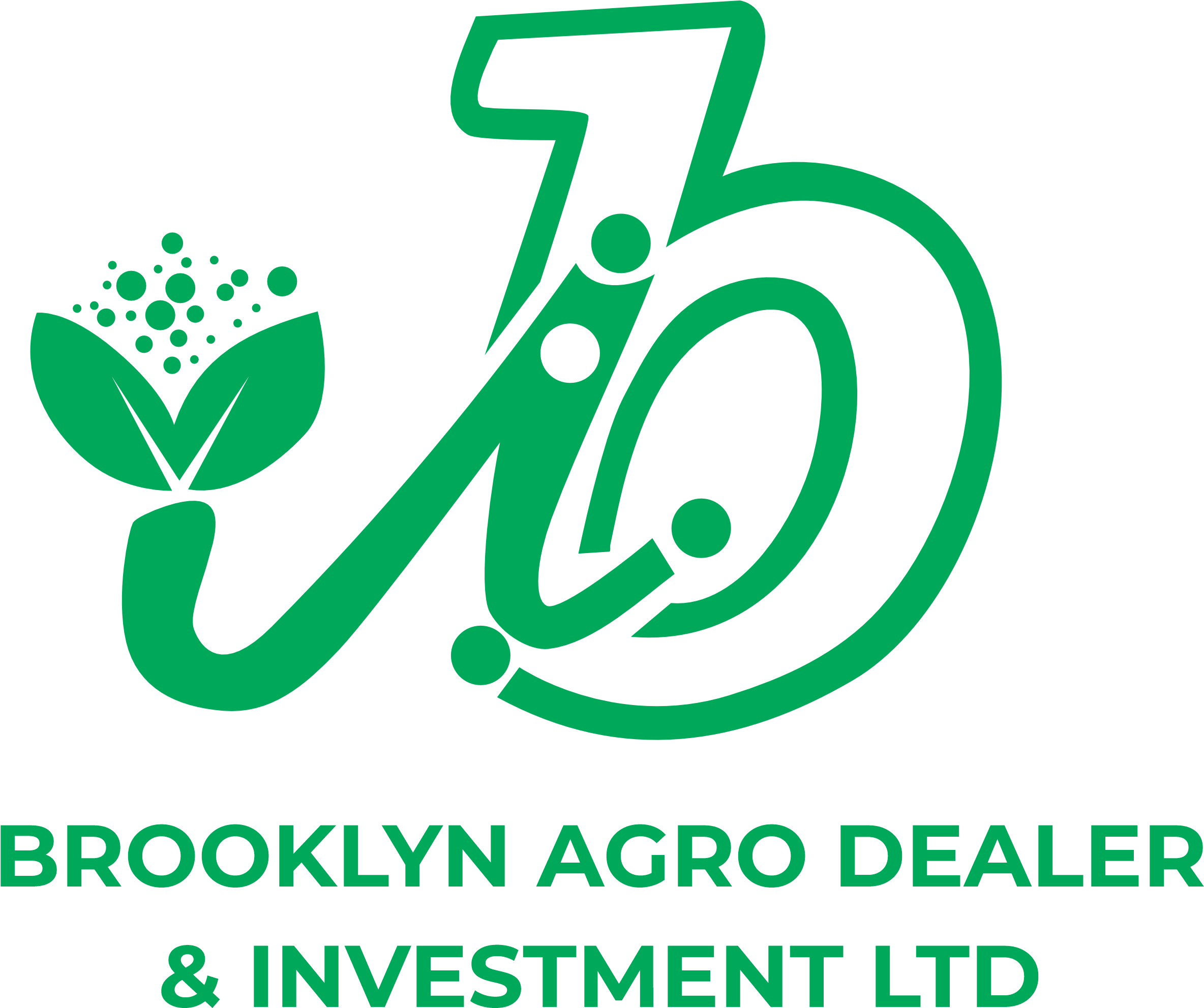 Brooklyn Logo